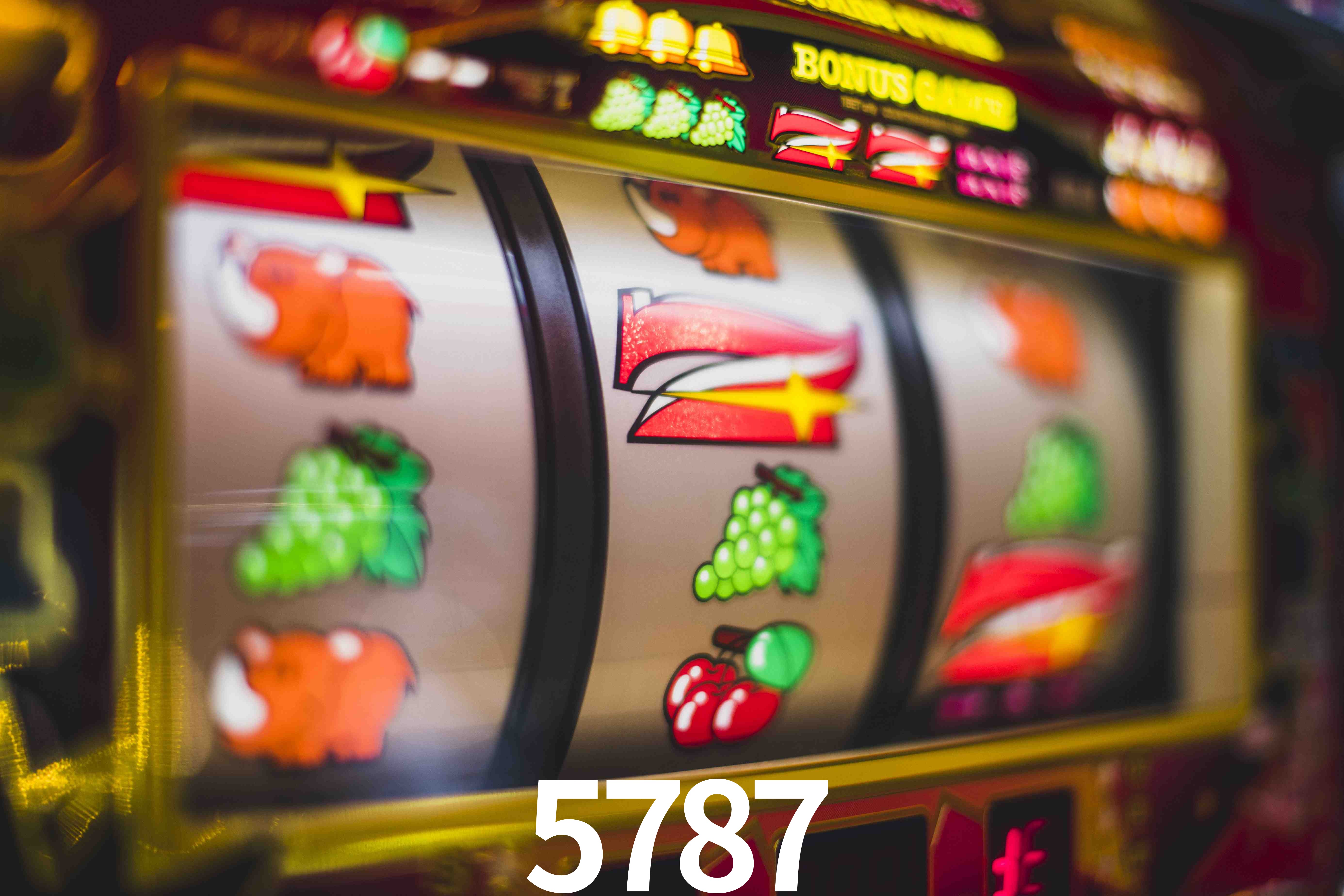 Basketball Betting 5787